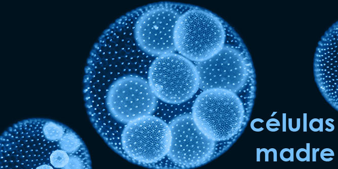 Dimensionamiento de un laboratorio de células madre hematopoyéticas en Rumanía